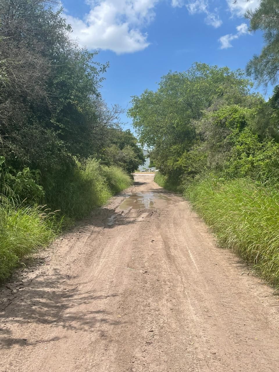 2 de 9