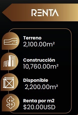 5 de 5