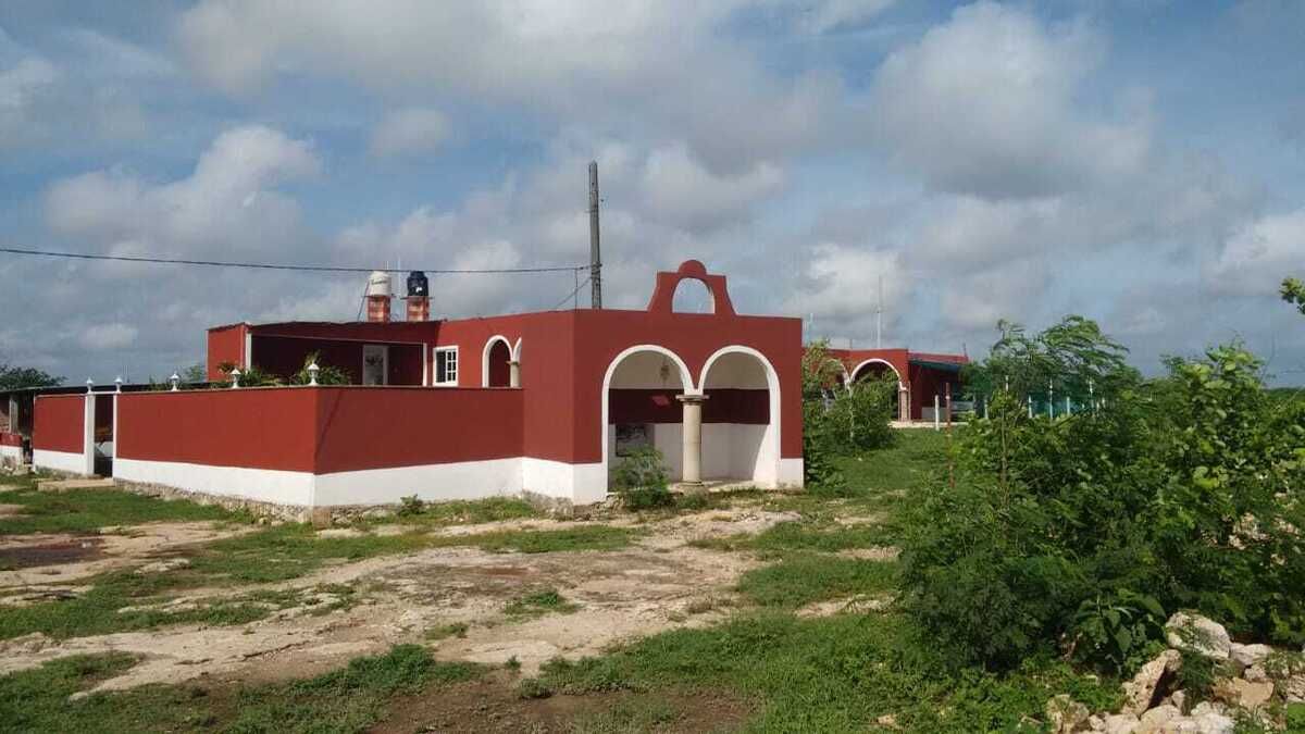 2 de 14