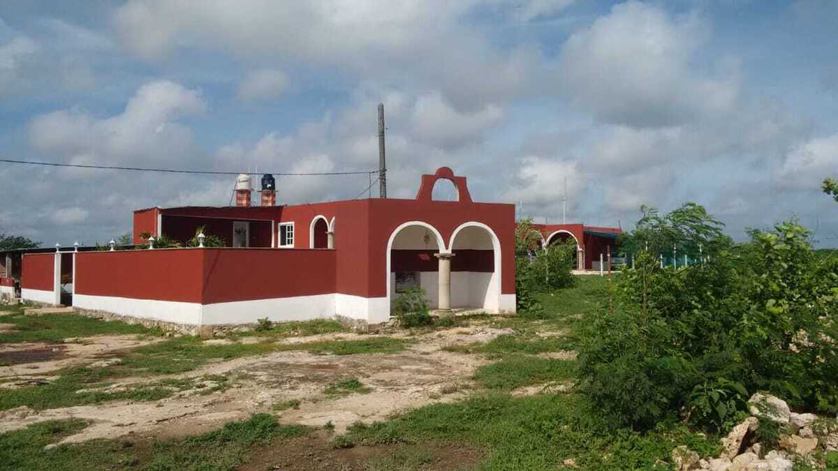 3 de 26