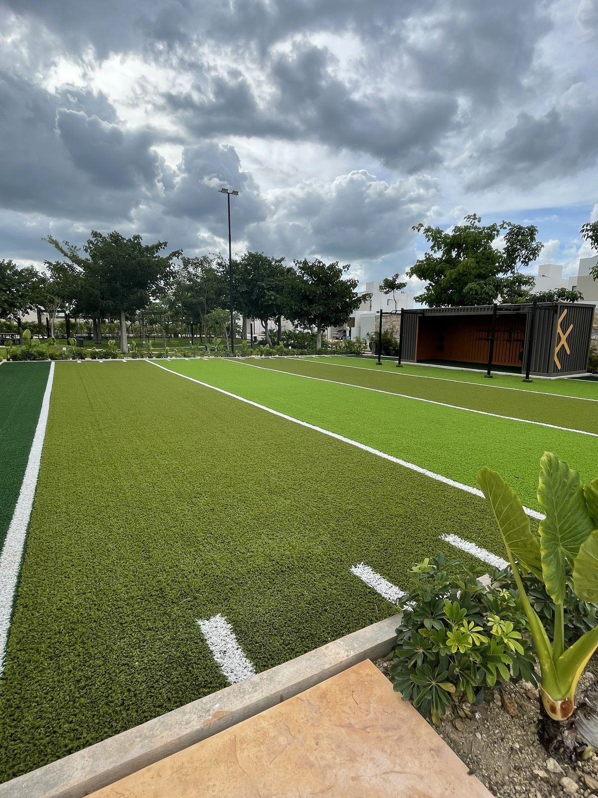 21 de 24: Cancha de pasto sintético
