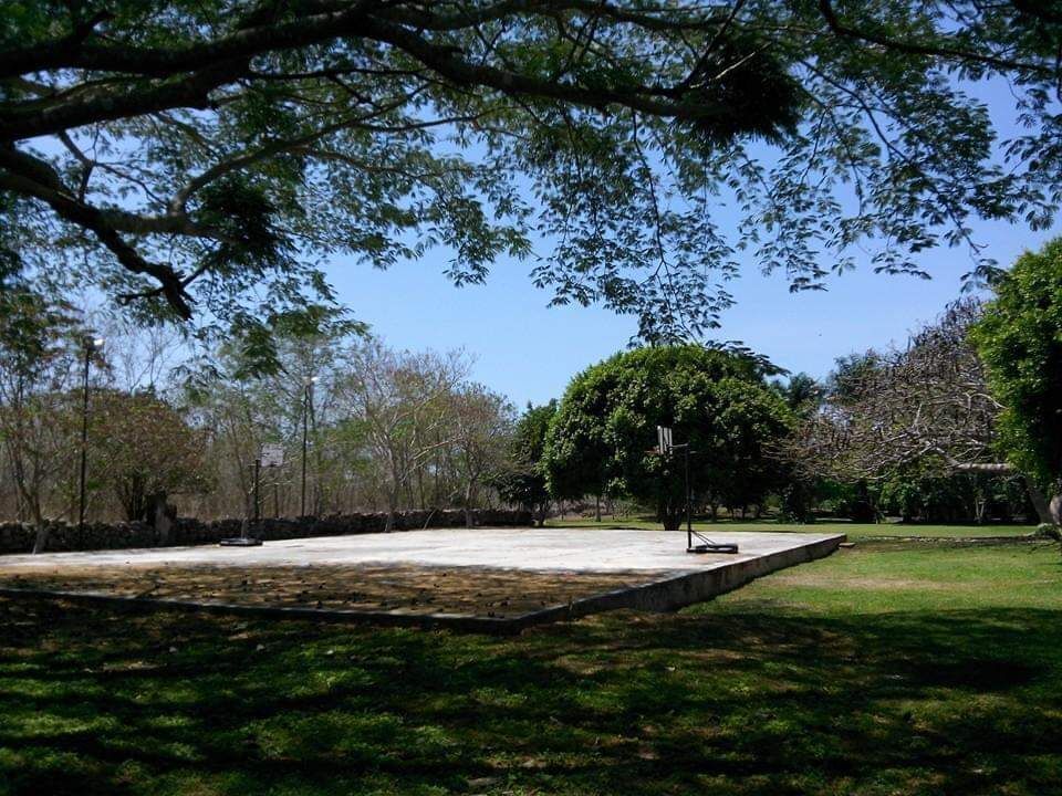 5 de 44