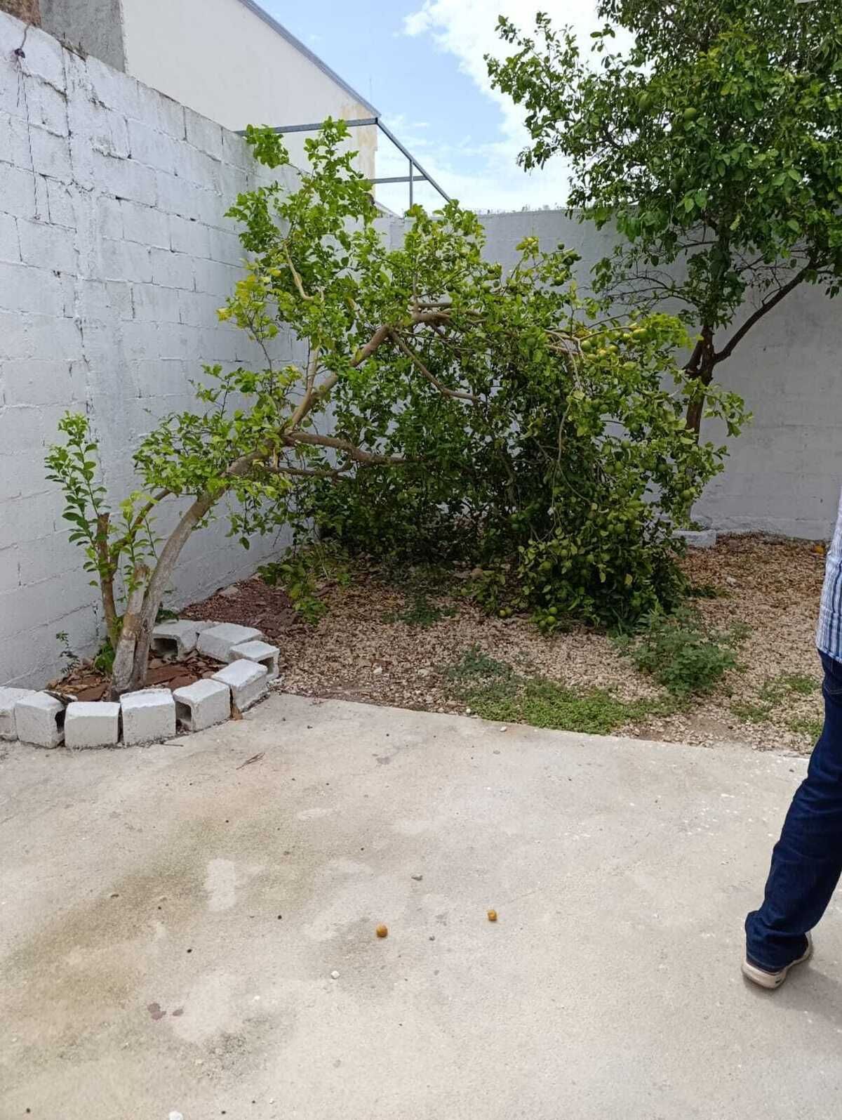 6 de 8
