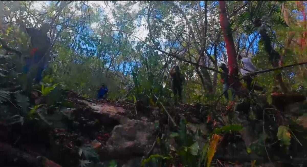 5 de 7