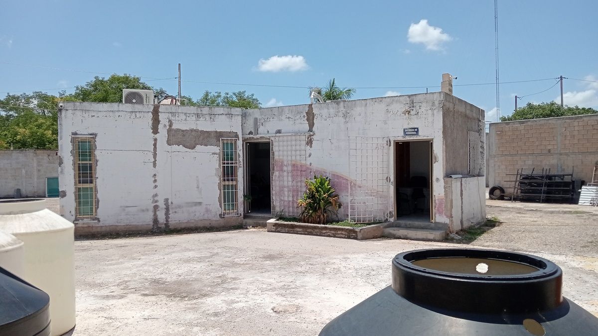 4 de 12