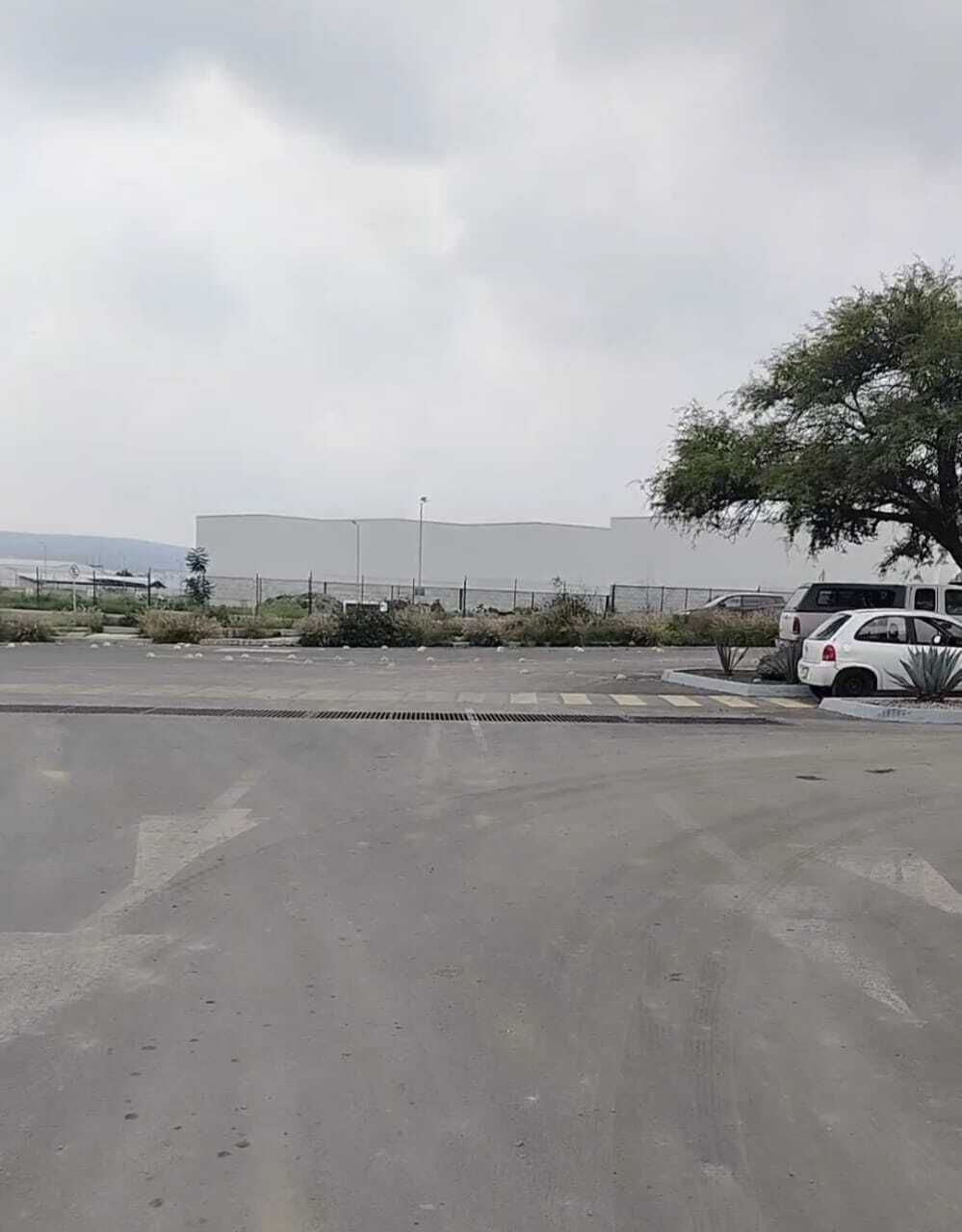 2 de 6