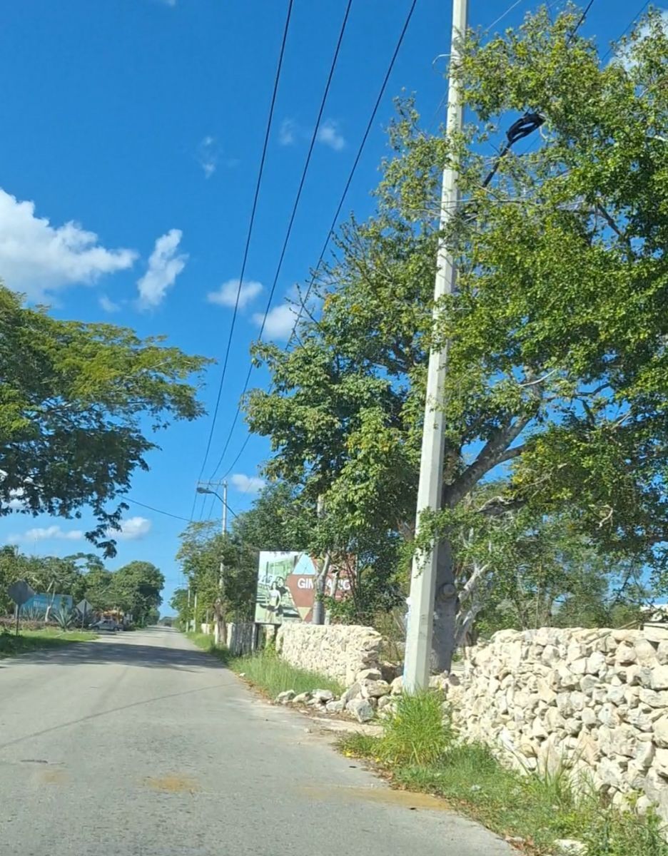 TERRENO EN KIKTEIL AL NORTE DE LA CIUDAD DE MERIDA - foto 3