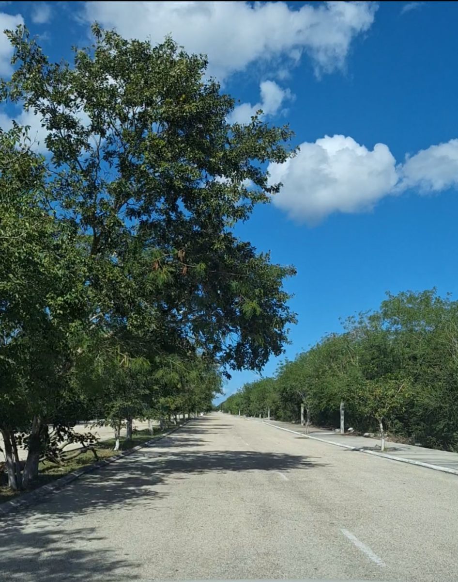 TERRENO EN KIKTEIL AL NORTE DE LA CIUDAD DE MERIDA - foto 5