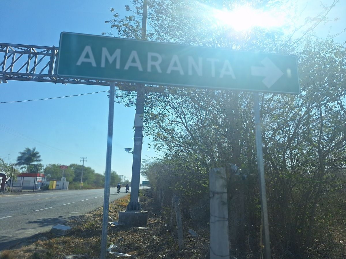 4 de 7