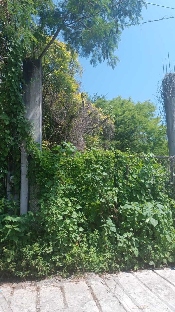 5 de 8