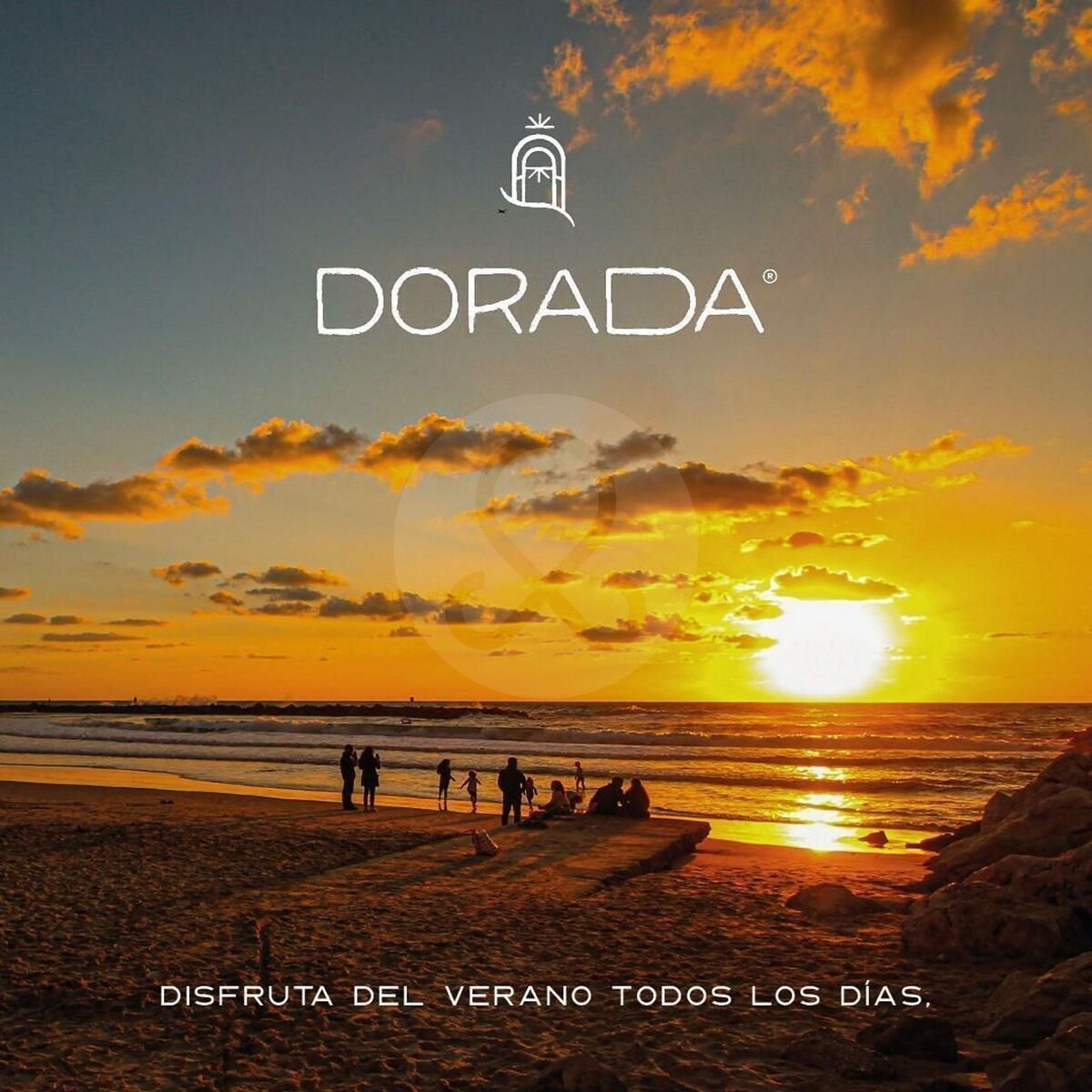 6 de 12