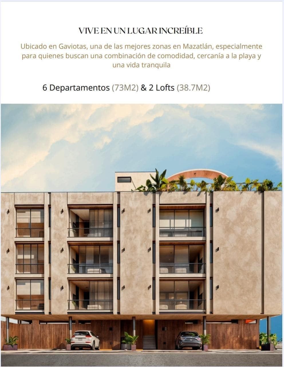 2 de 6