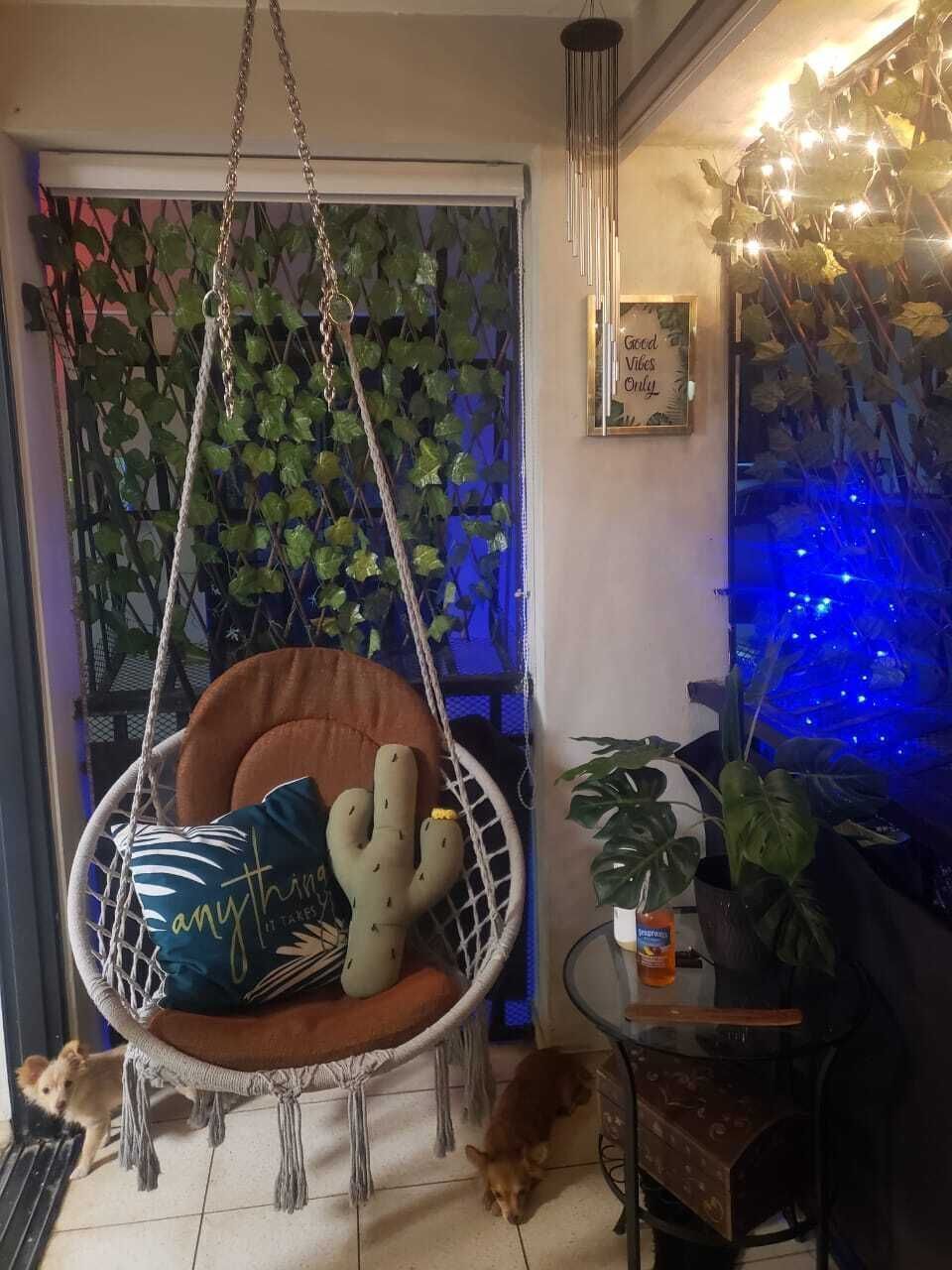 5 de 12