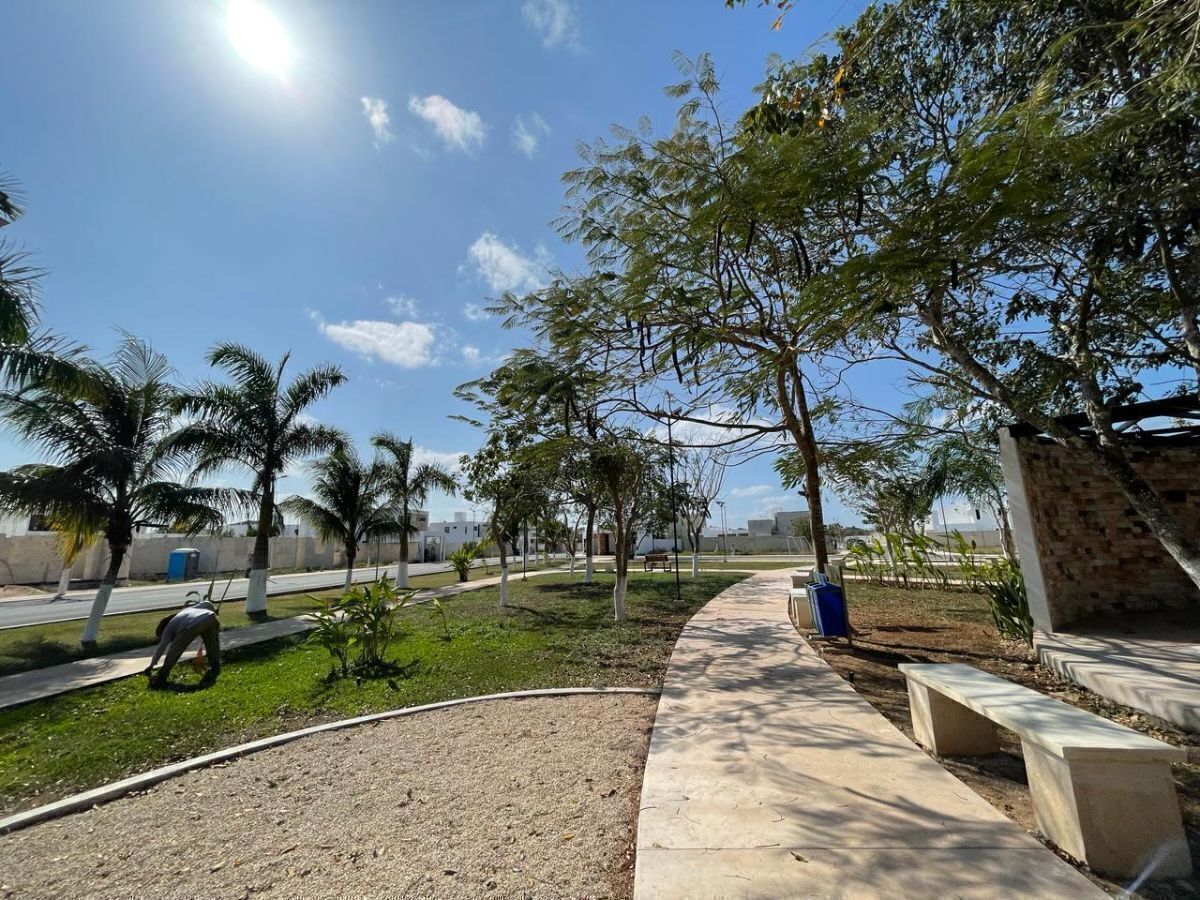 11 de 24