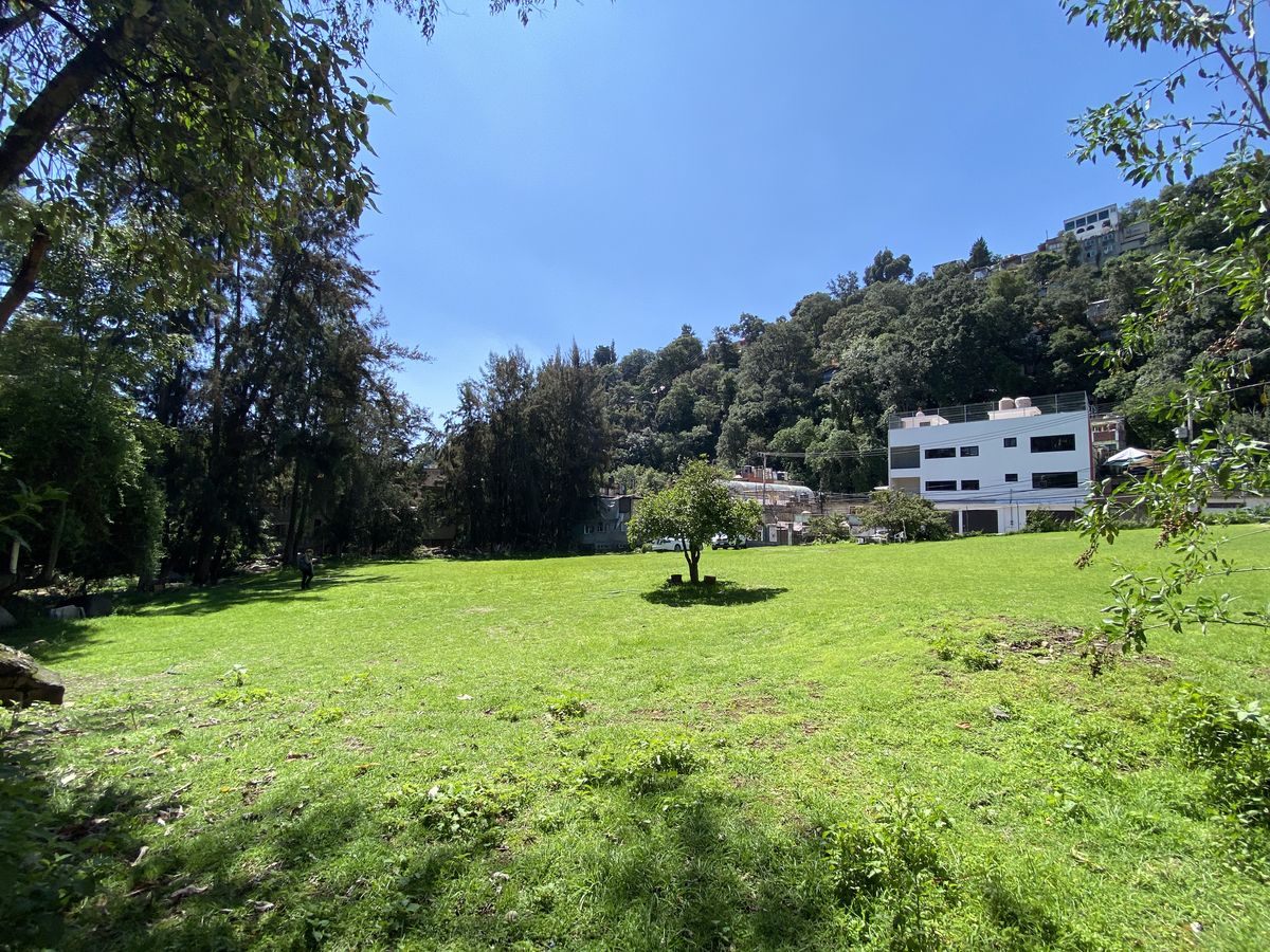 3 de 14