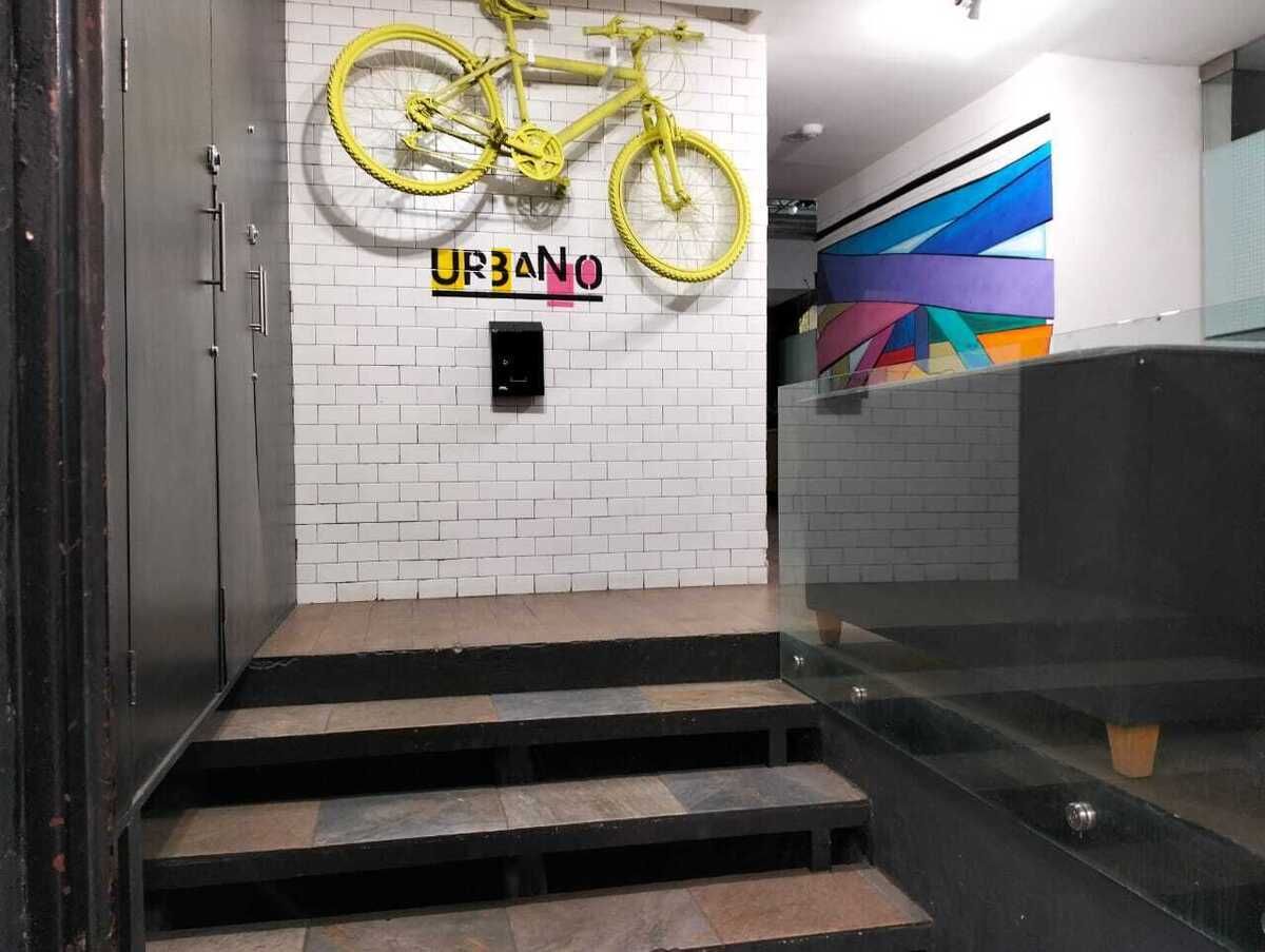 2 de 11