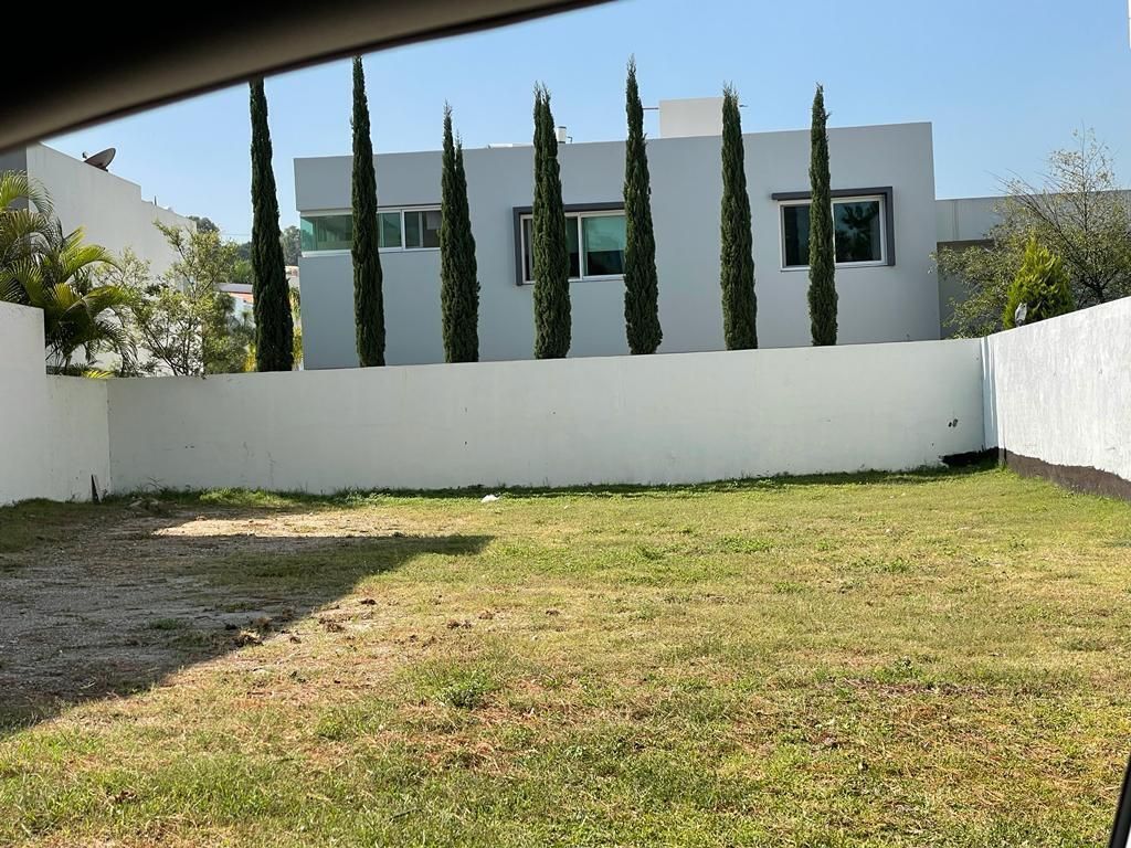 1 de 7