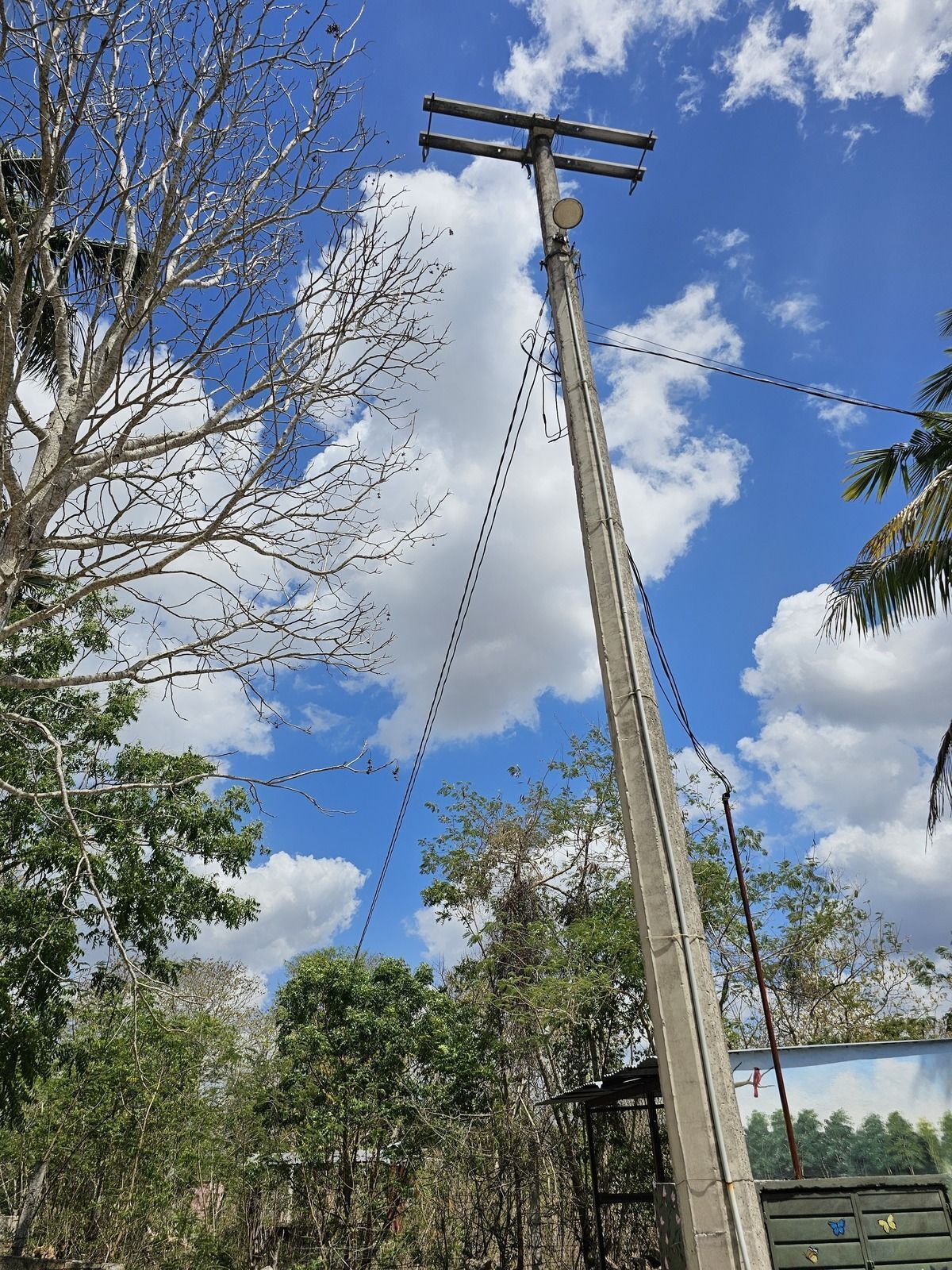 32 de 48