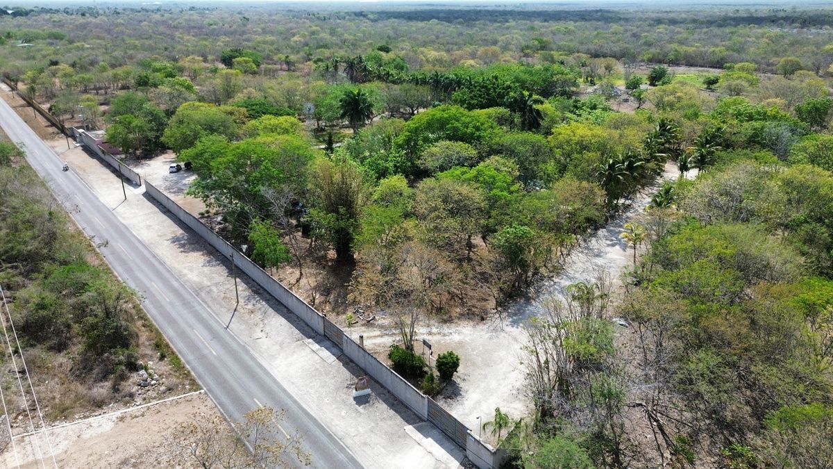 2 de 48: Entrada sobre carretera