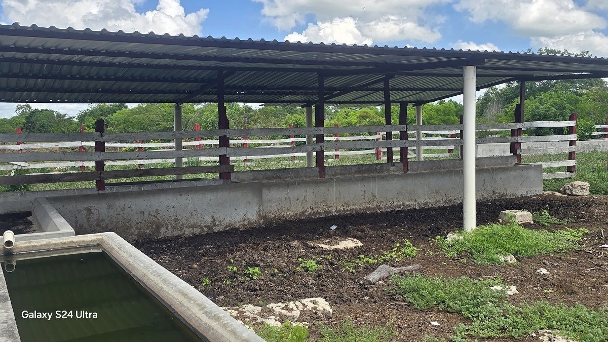 Corrales con material nuevo