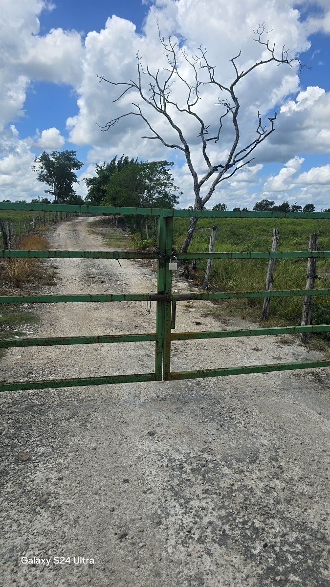13 de 15: Reja de la entrada del rancho