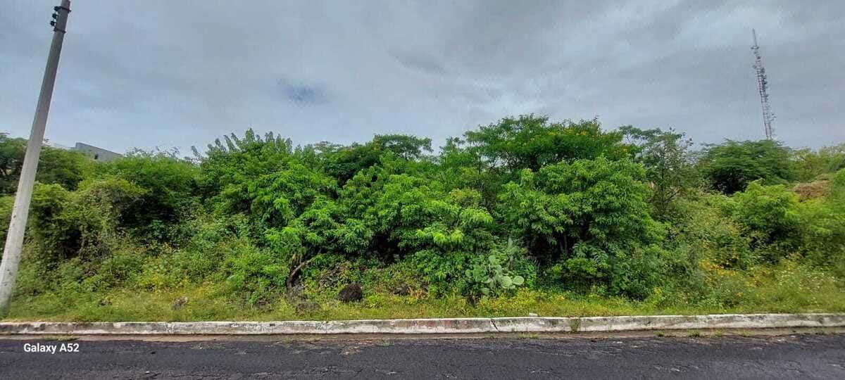 Terreno en Venta en Lomas del Pedregal con vista panoramica.