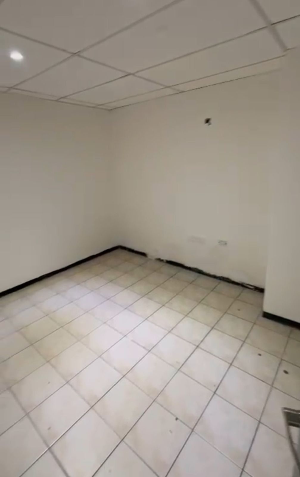 3 de 13