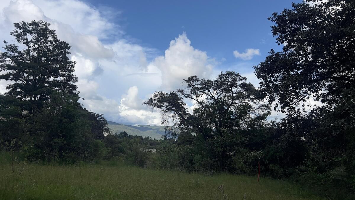 3 de 12