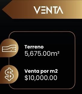 3 de 3