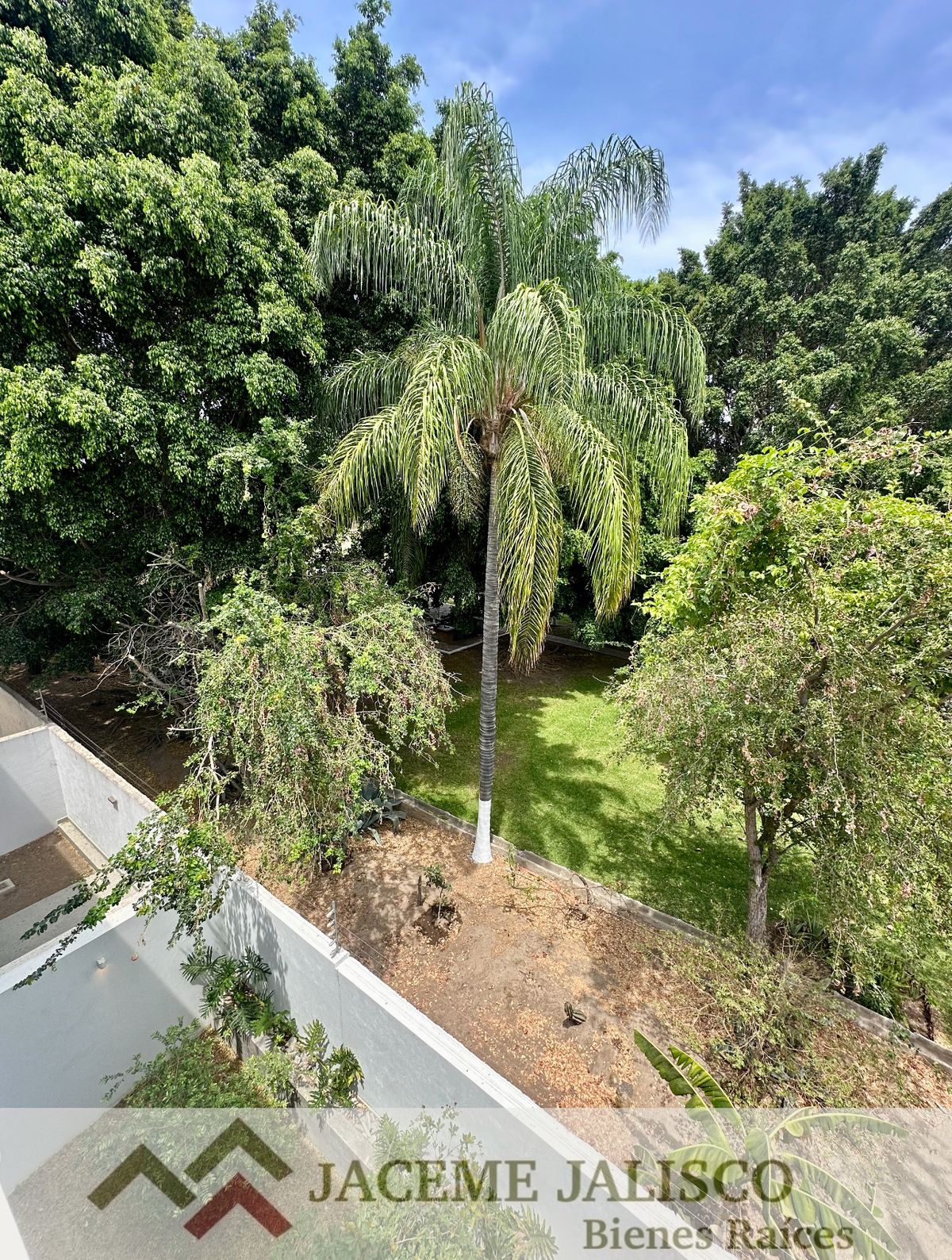 33 de 47