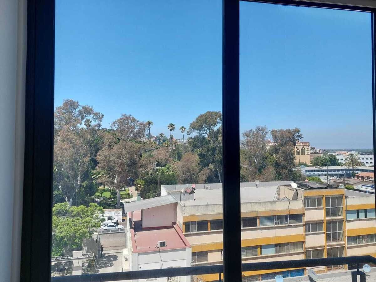 6 de 17