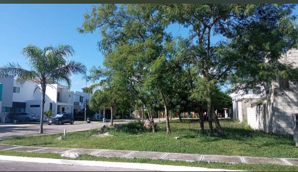 25 de 28