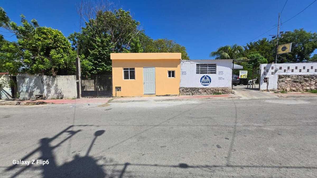 2 de 24