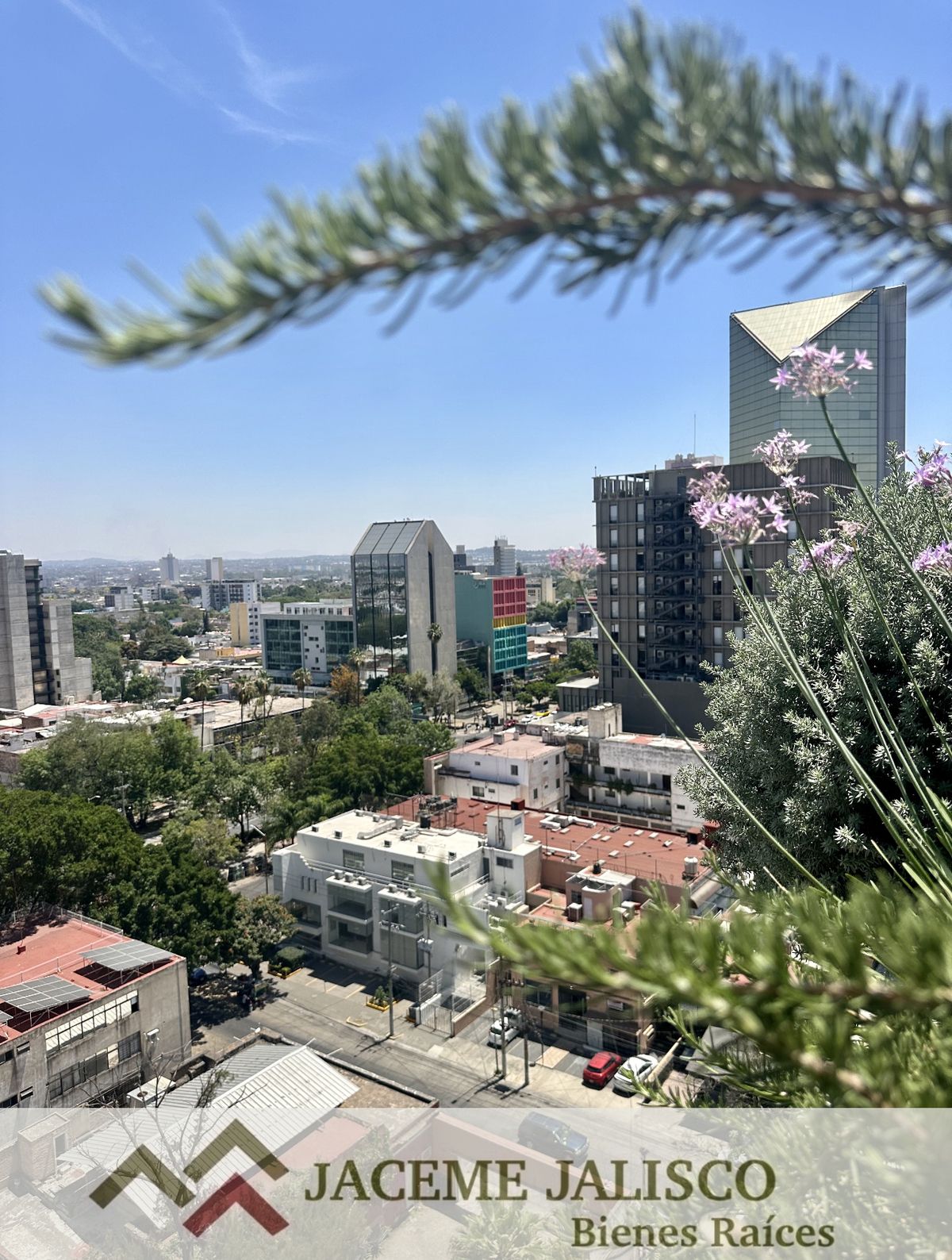 29 de 34