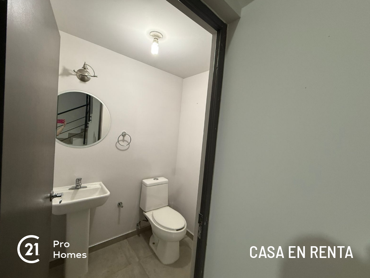 5 de 14