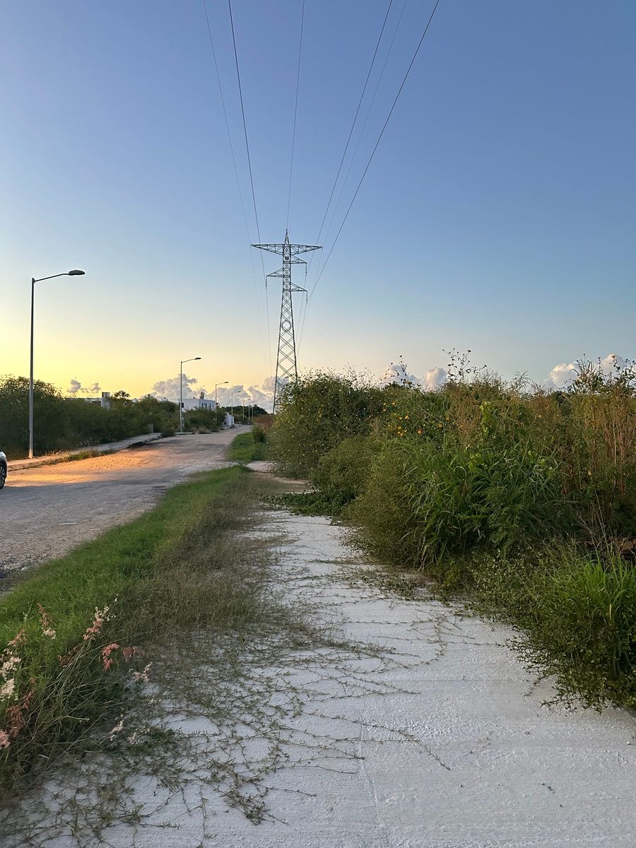 4 de 8: Terreno En Venta En Chichí Suárez, Mérida Yucatán