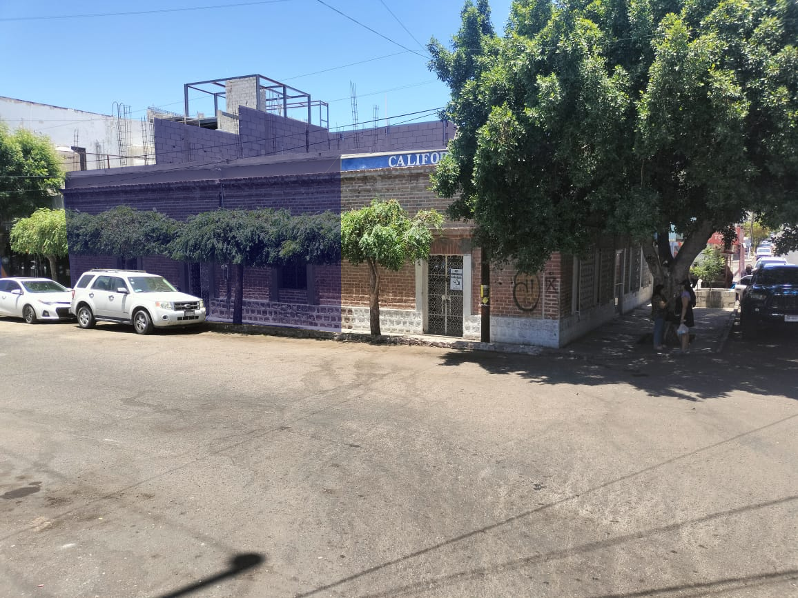 1 de 31