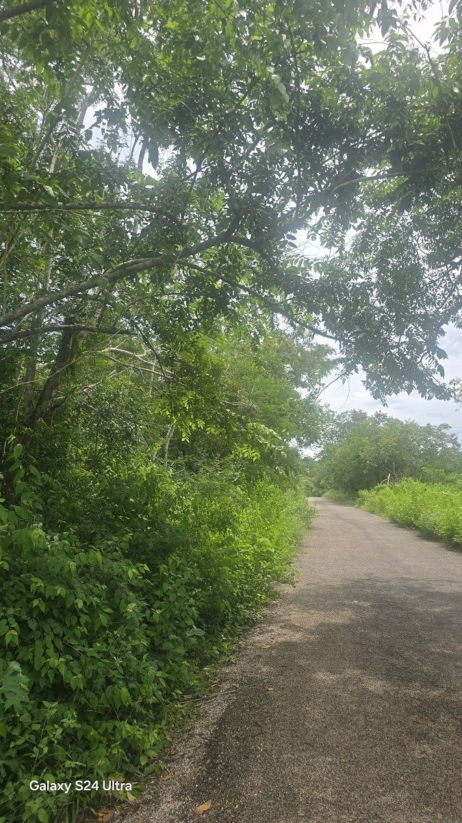 1 de 10: Carretera de acceso, frente al terreno