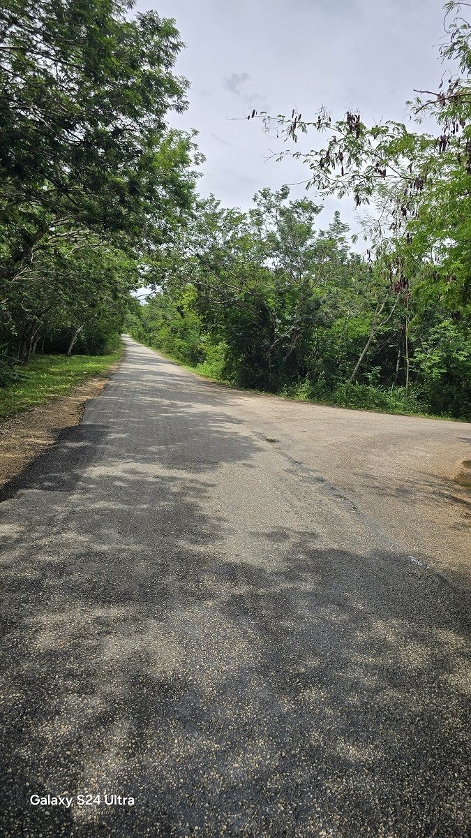 10 de 10: Acceso que viene desde Tesoco