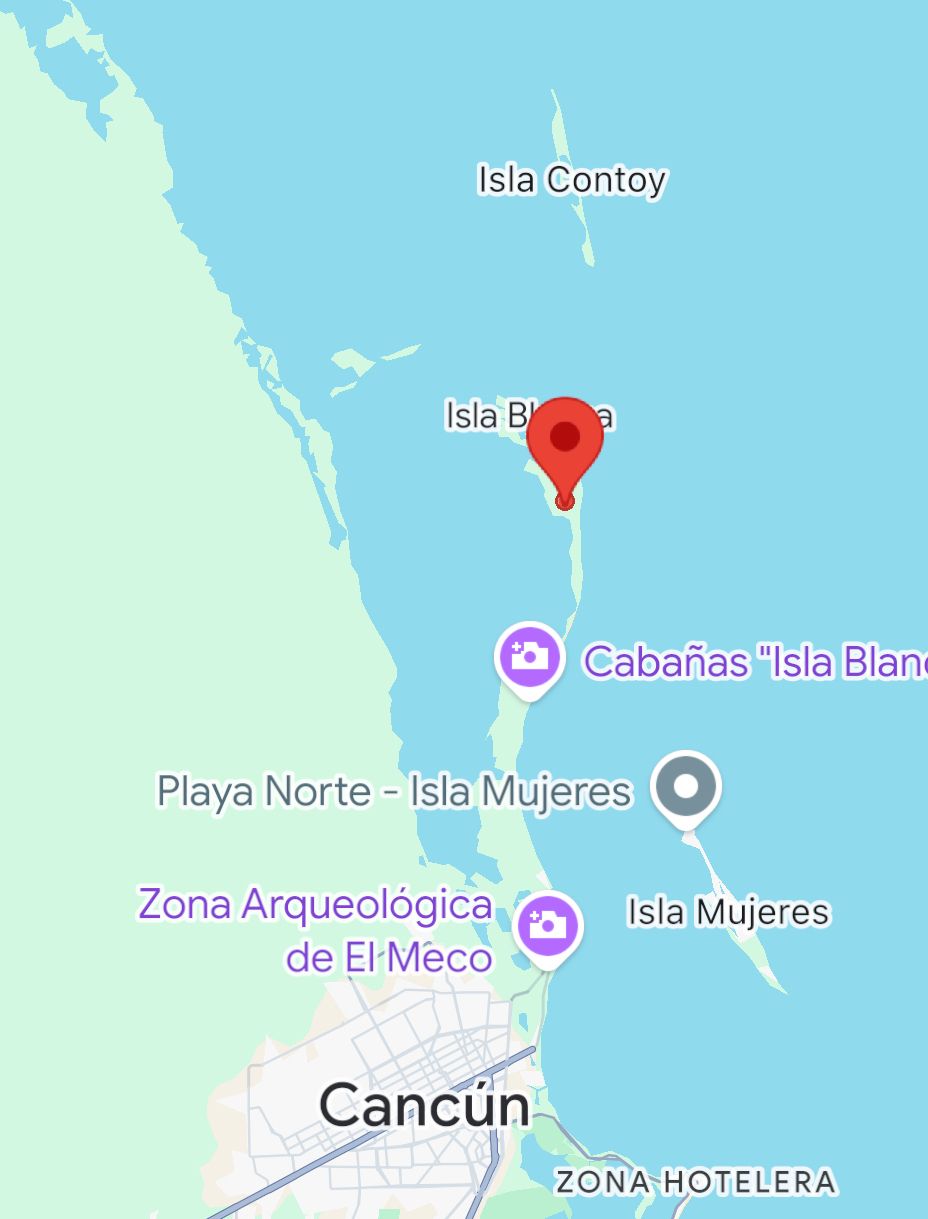 5 de 9