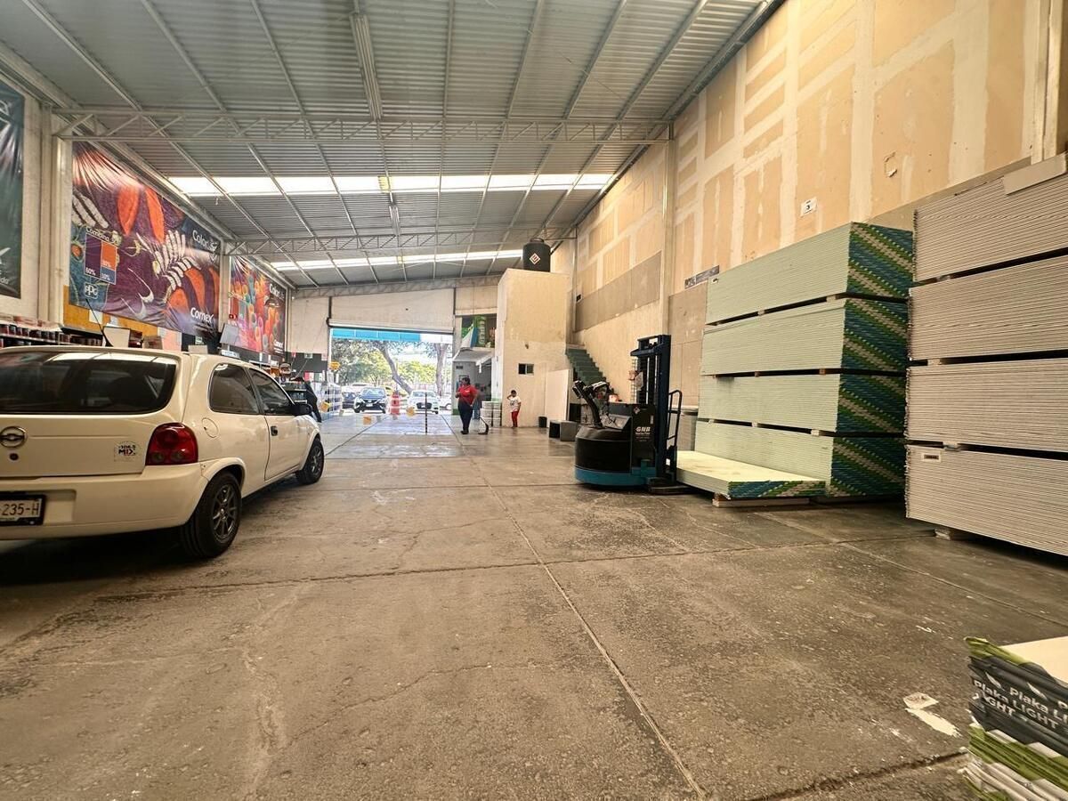 6 de 12