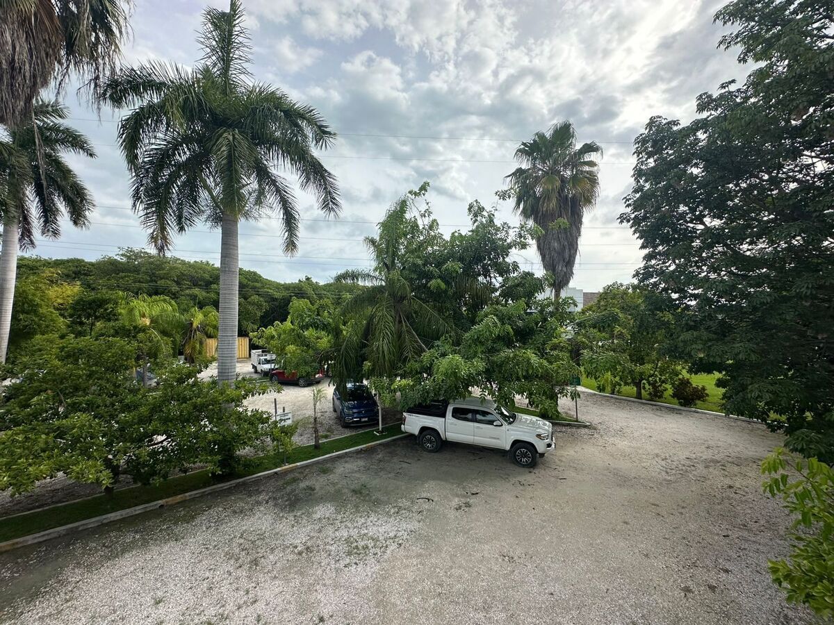 3 de 11
