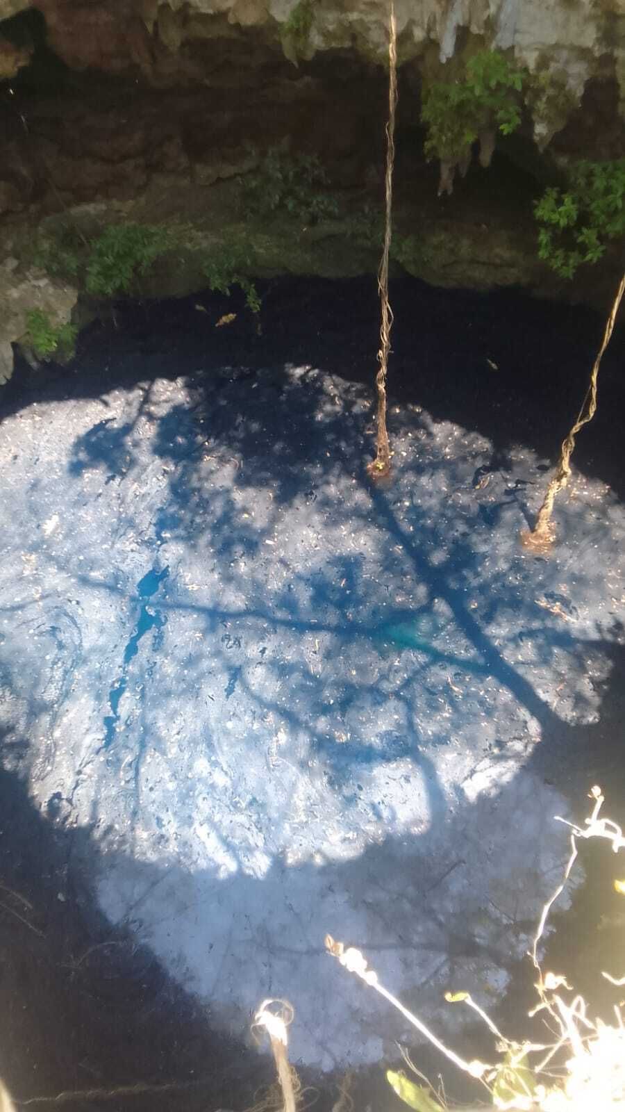 3 of 18: Cenote on the property!