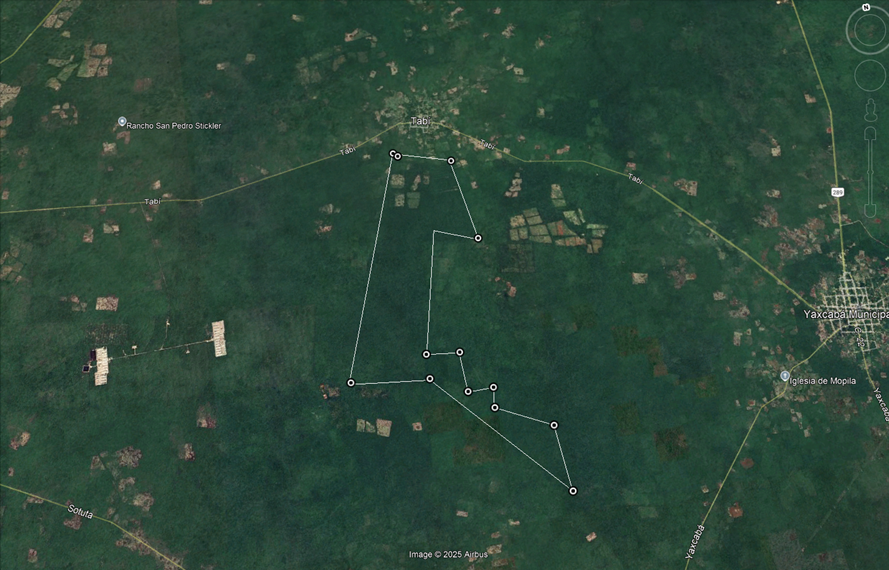 1 of 18: Aerial view of the property