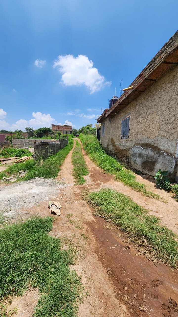 3 de 5