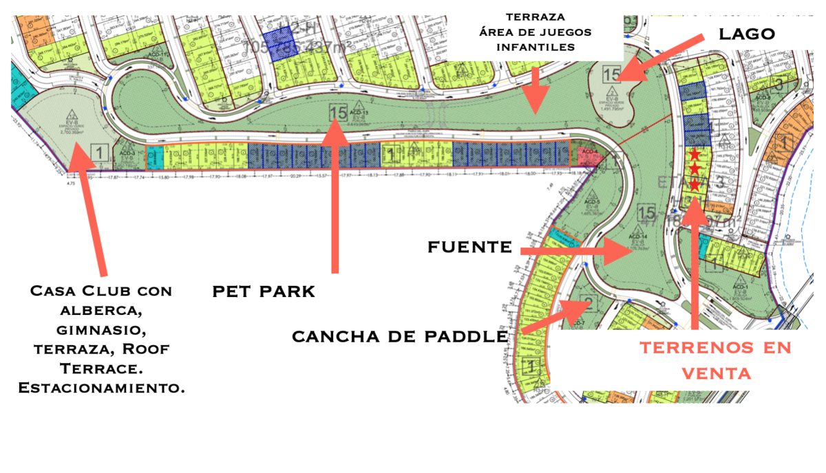 6 de 22