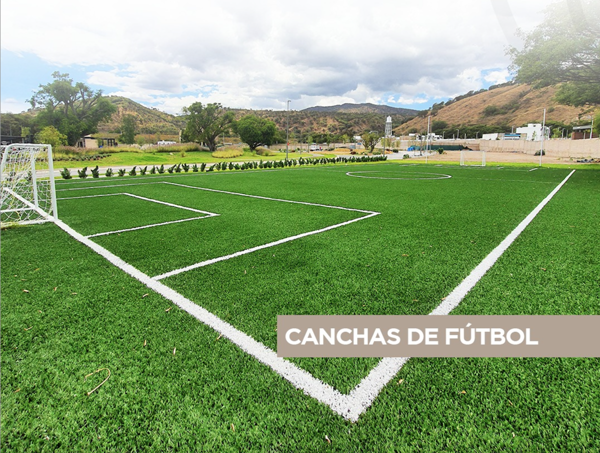 11 de 22