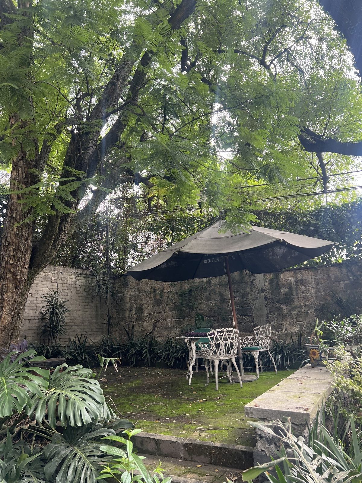 8 de 30