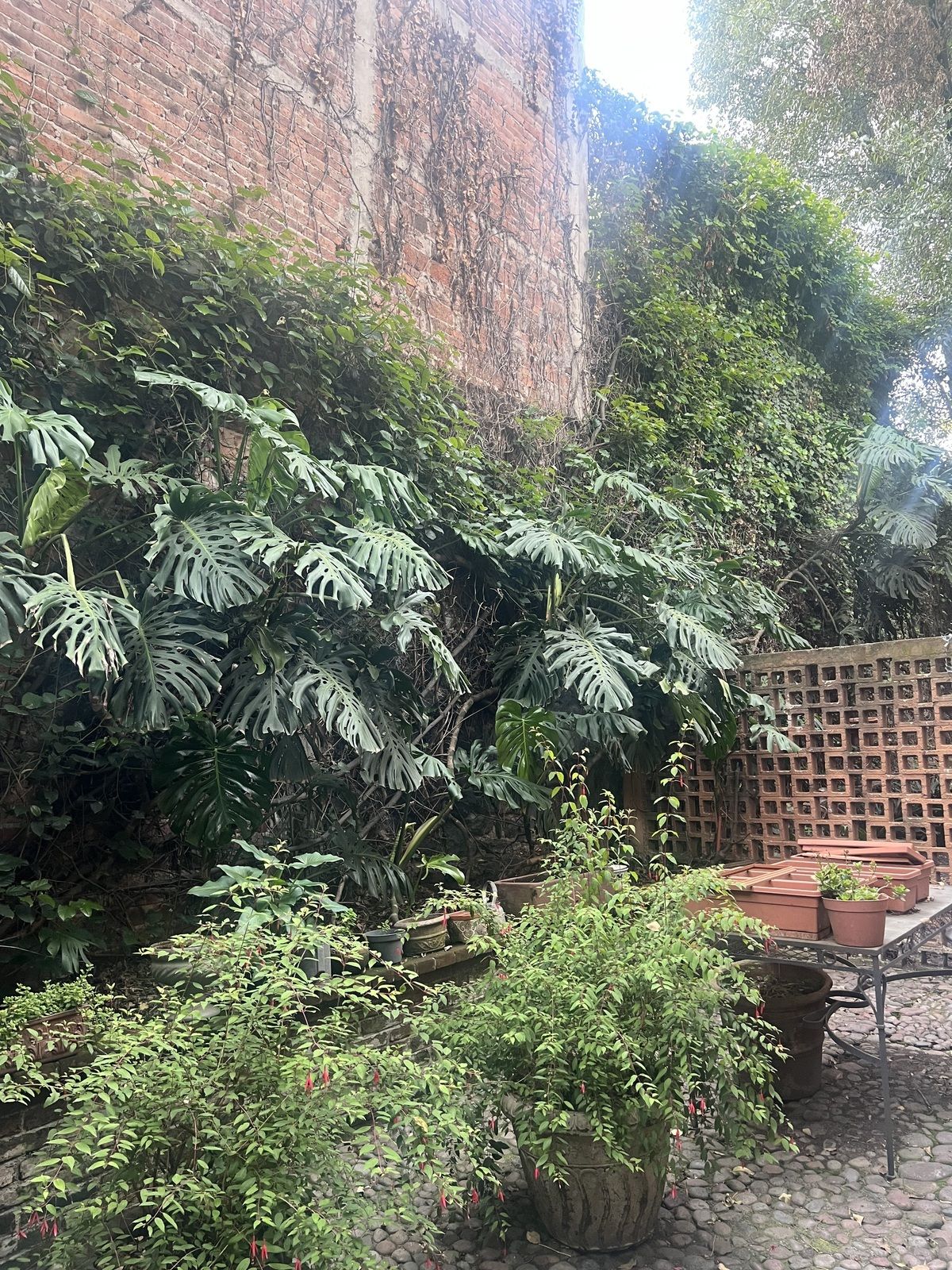 28 de 30