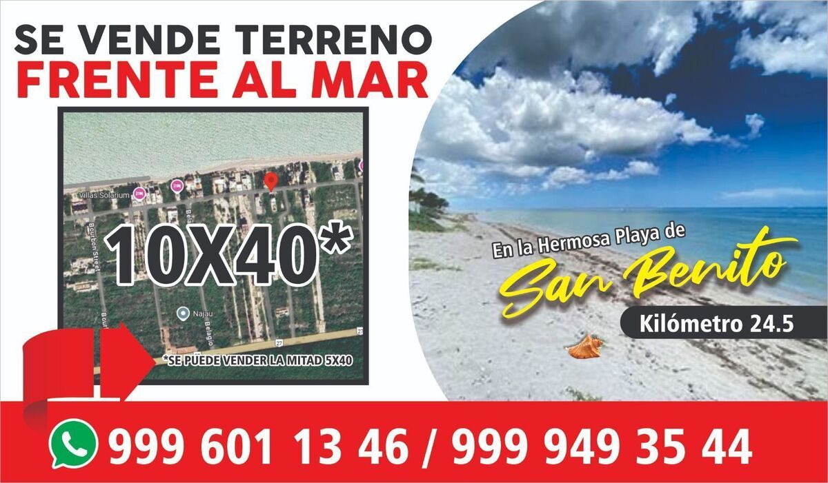 3 de 6